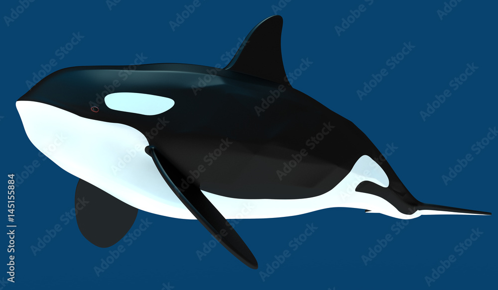 A model of a stylized killer whale. 3D illustration. A model of a stylized killer whale. 3D illustration.