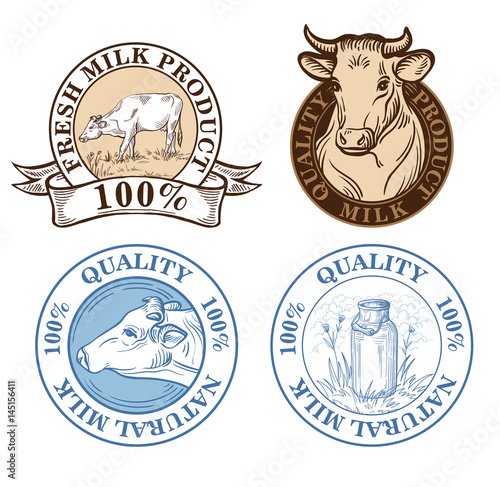 Set of vector an dairy cows label on white background sketch drawing