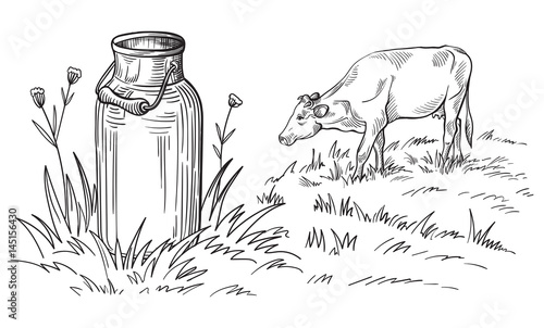 Milk cans with grass country style vector sketch
