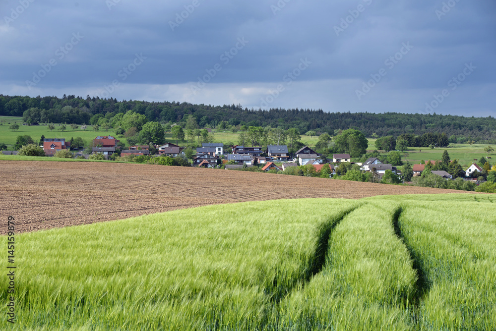 Felder bei Rimhorn, Odenwald