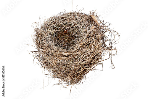 Isolated Empty Bird Nest