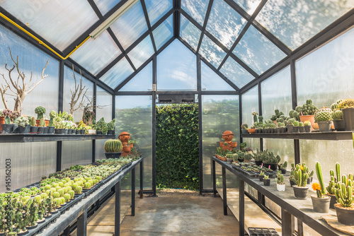 Transparent greenhouse with cactus pots inside