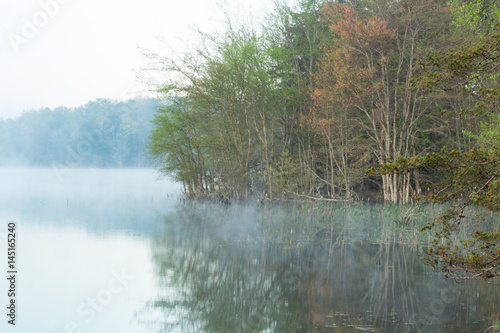 Foggy Morning at the Lake photo