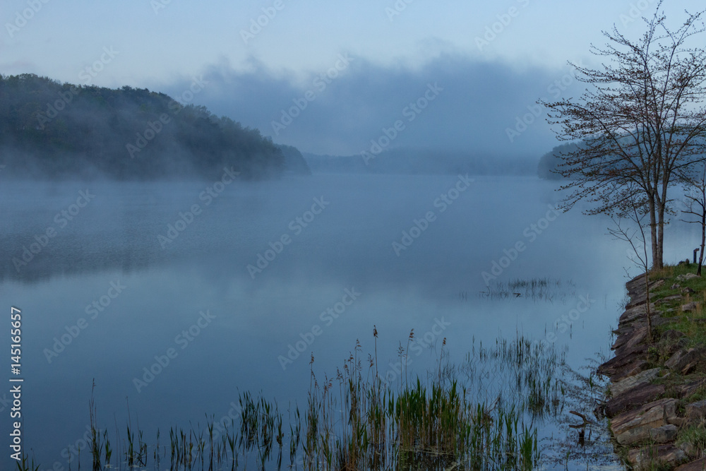 Fototapeta premium Foggy Morning at the Lake