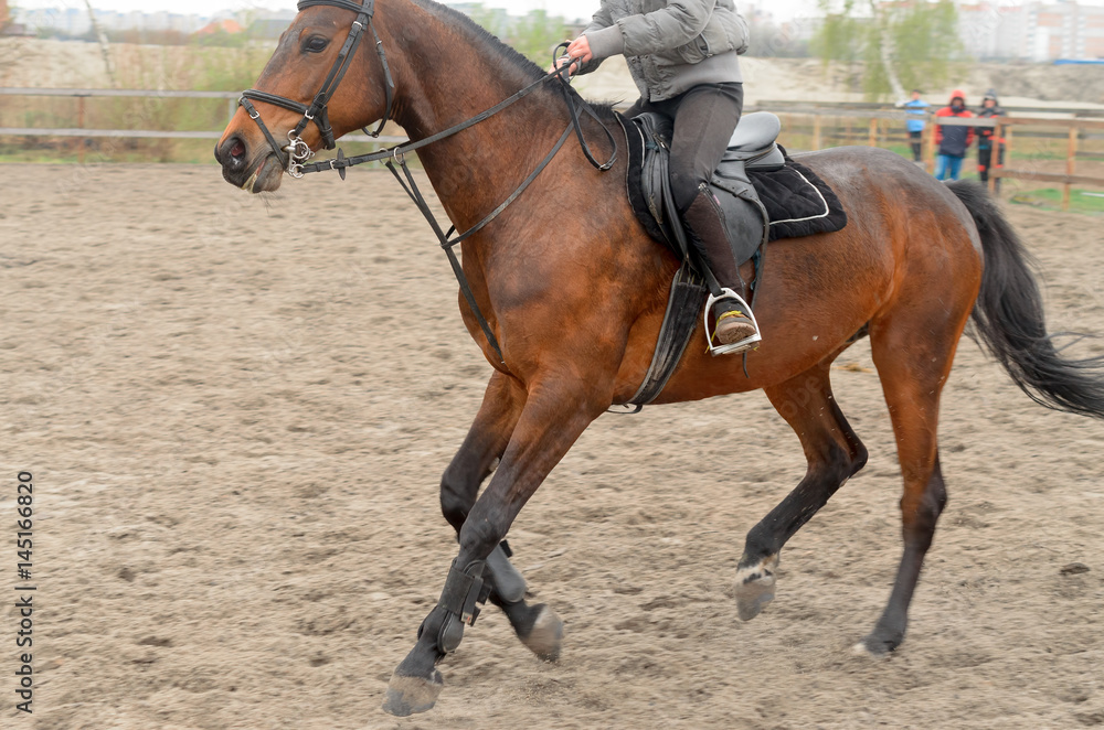 A rider on horseback overcomes obstacles. A rider on horseback overcomes obstacles.
