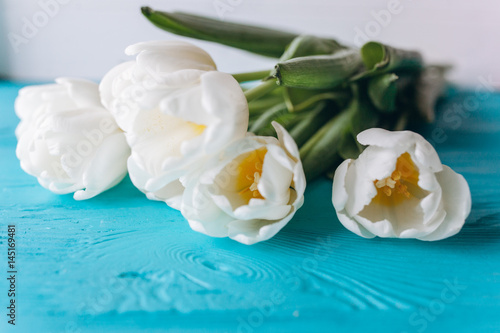 mother's day, white tulips on blue wooden background