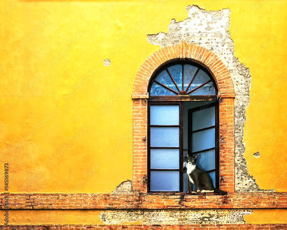 Obraz premium Window on Colorful Wall in Siena Italy