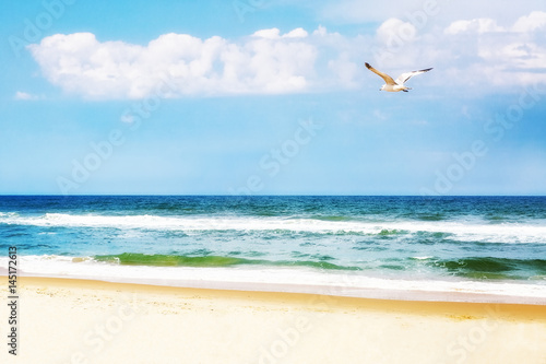 Peaceful Beach With Seagull Soaring