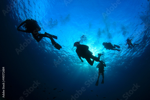 Fototapeta Scuba diving