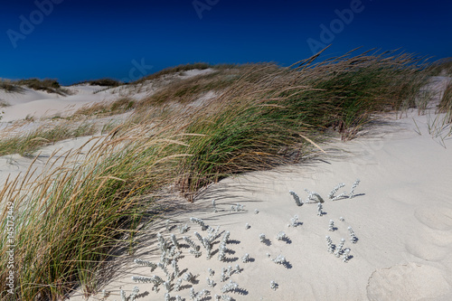 'White sand at Europe's end' : Sao Jacinto Natural Reserve, Portugal