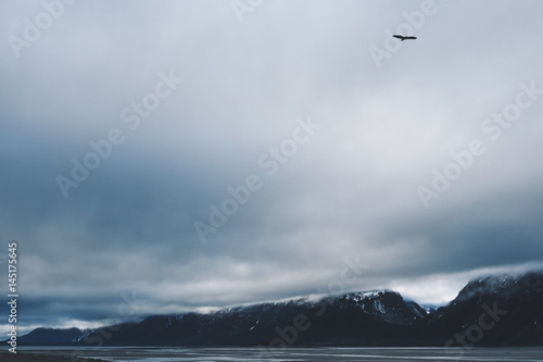 Bald Eagle Soars Within a Lonely Forgotten Landscape with Foreboding Skies