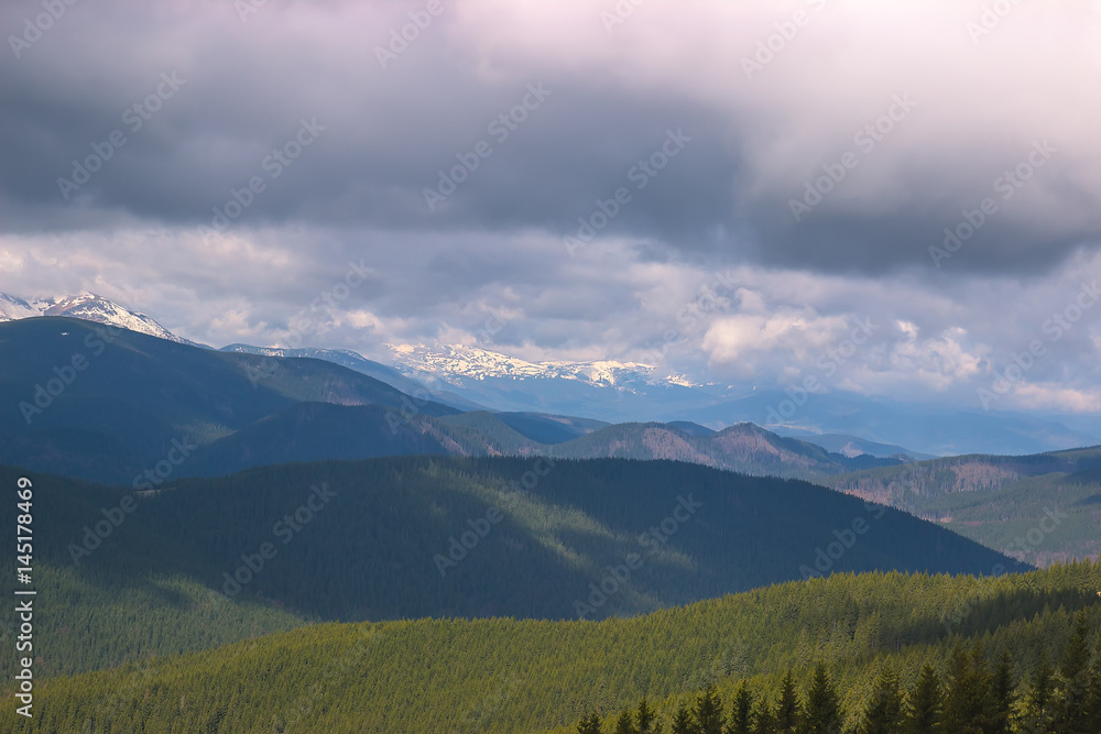 Fototapeta premium Spring landscape in the Carpathian mountains