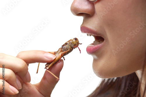 Asian female eating fried locust - Eating insect concept