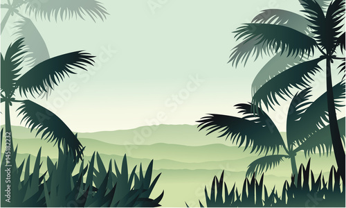Silhouette of palm on jungle scenery