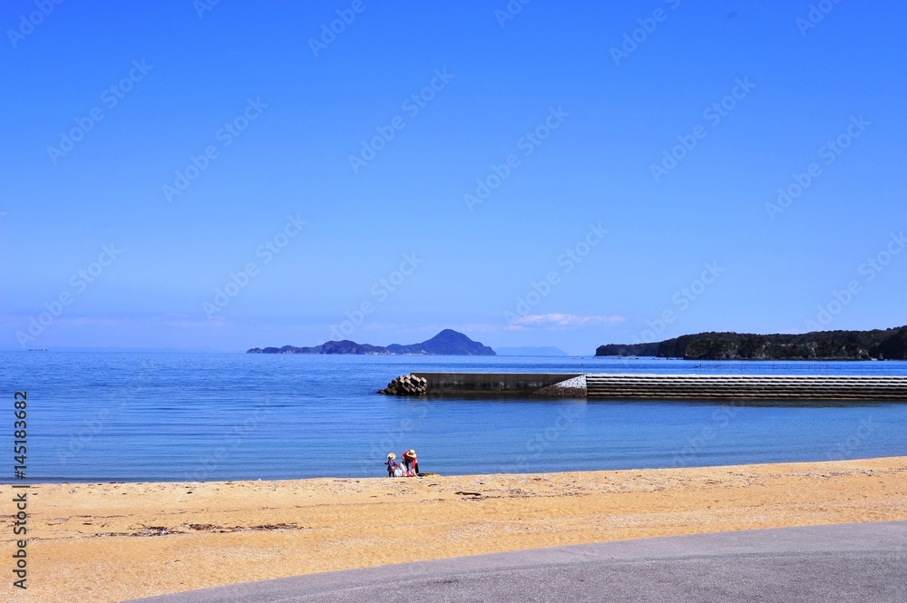 Fototapeta premium 長崎鼻の菜の花