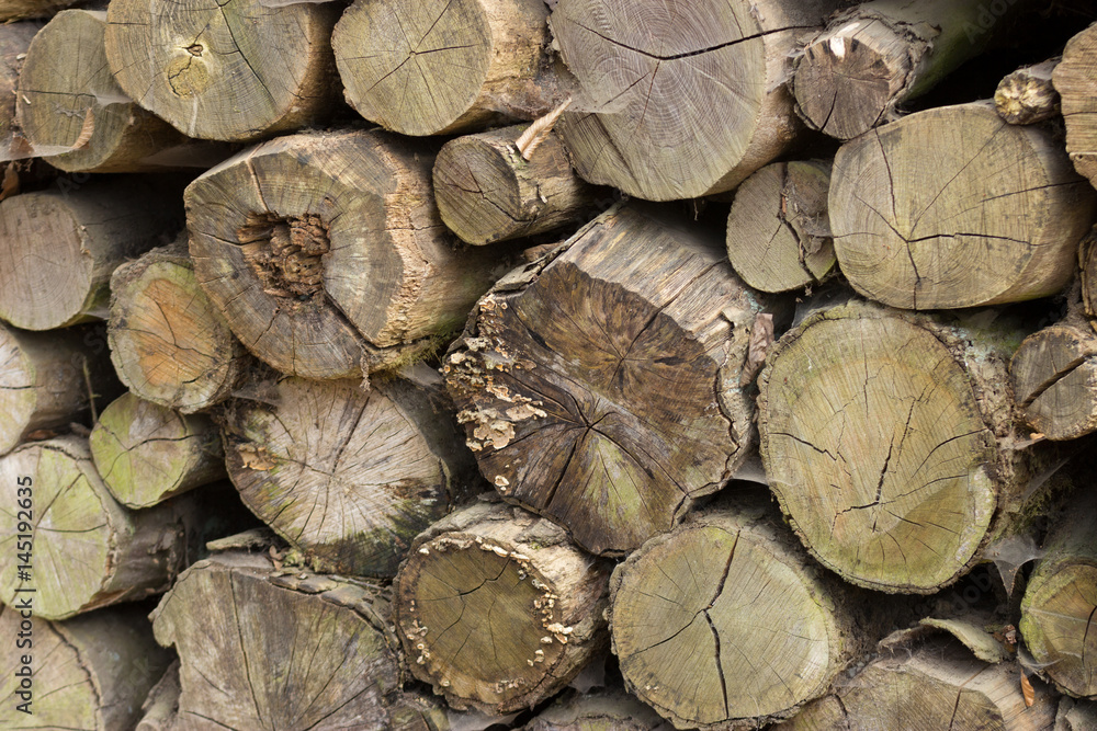 Detail of a lot of round trunks - wooden abstract background. Outdoor rack with hut construction wood trunks. Detail of a lot of round trunks - wooden abstract background. Outdoor rack with hut construction wood trunks.