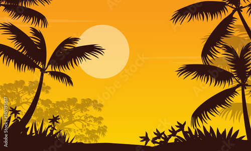 At sunset jungle landscape with palm silhouette