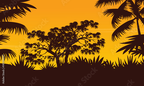 Jungle with tree and palm silhouette scenery