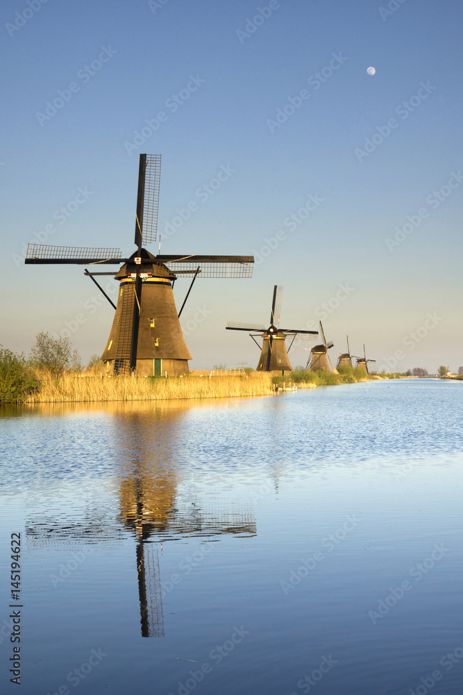 The windmills in Kinderdijk