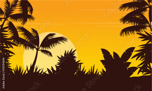 Silhouette of jungle at morning scenery