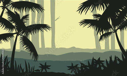 Silhouette of jungle with tree scenery