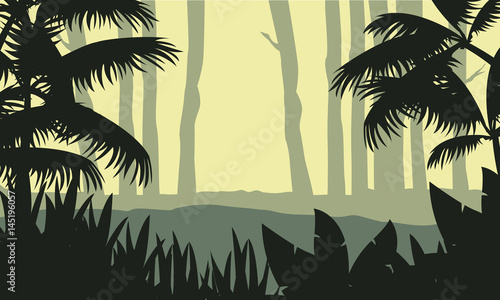 Beauty landscape forest with tree silhouette