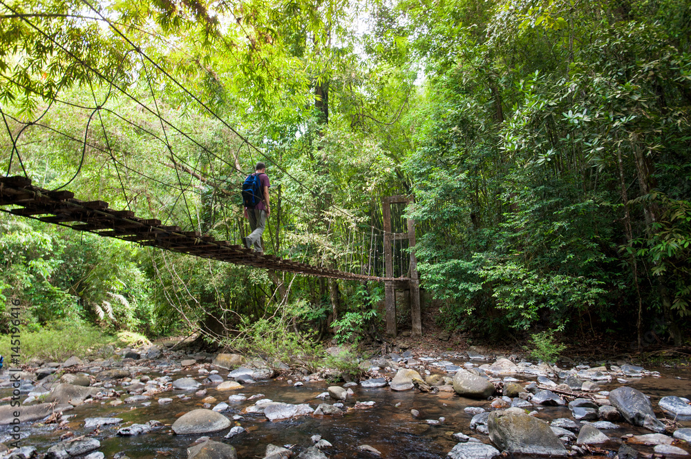 nature trail,path with wooden bridge in deep forest (National Park, Thailan) nature trail,path with wooden bridge in deep forest (National Park, Thailan)