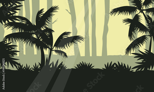 Jungle with tree silhouette beauty landscape