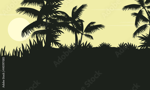 Silhouette of palm tree on jungle scenery