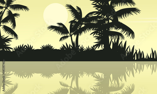 Tree and lake on jungle scenery silhouette