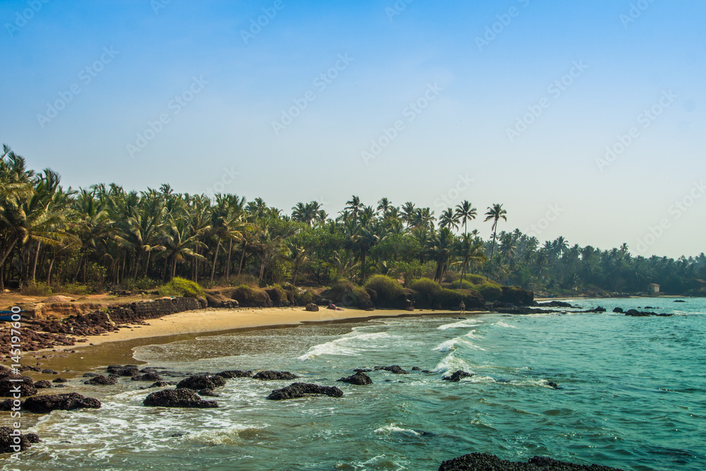 Obraz premium Wild beach in Maharashtra state, India, Arabian sea