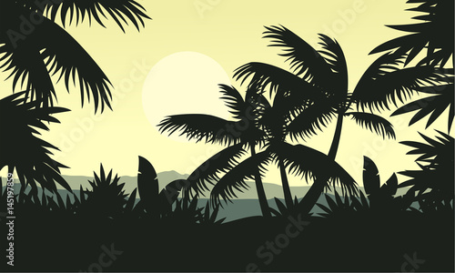 Palm tree silhouette on jungle scenery