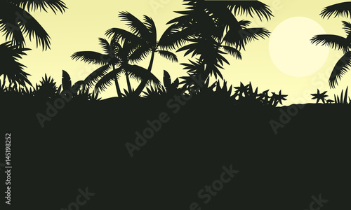 Silhouette of forest with palm tree scenery