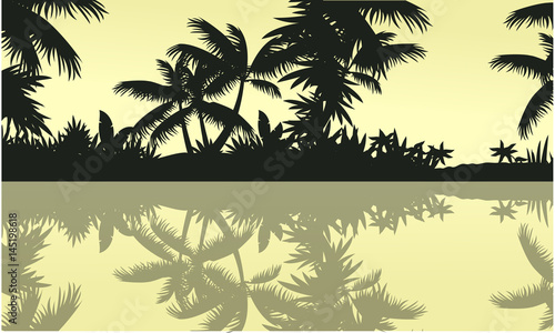 Silhouette of tree palm on jungle scenery