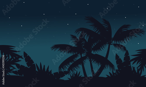 At night palm on jungle scenery