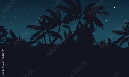Jungle with palm tree at night scenery