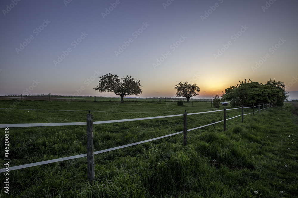 Fototapeta premium Pferdekoppel im Sonnenaufgang