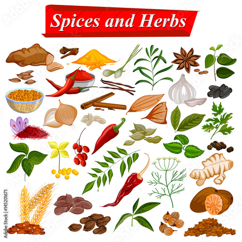 Full collection of aromatic Spices and Herbs used for cooking