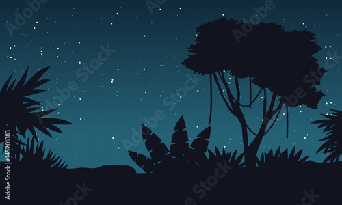 At night jungle with tree silhouette landscape