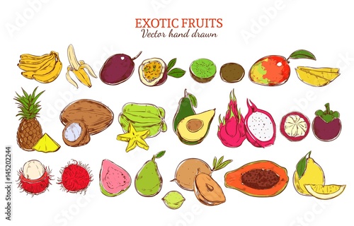 Colored Fresh Natural Exotic Fruits Set