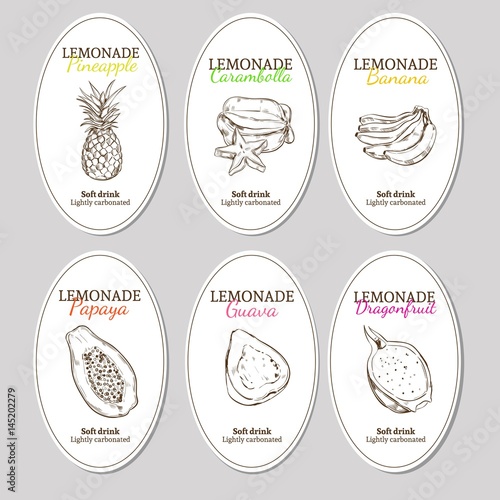 Hand Drawn Refreshing Lemonade Labels Set