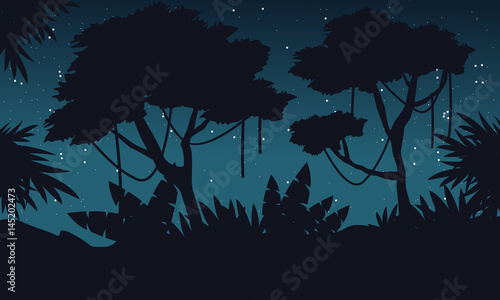 Silhouette jungle at night with big tree landscape
