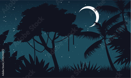 At night forest with moon scenery