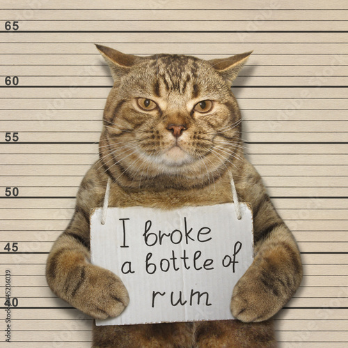 The wild cat crashed a bottle of expensive rum. He was arrested for for that terrible crime.