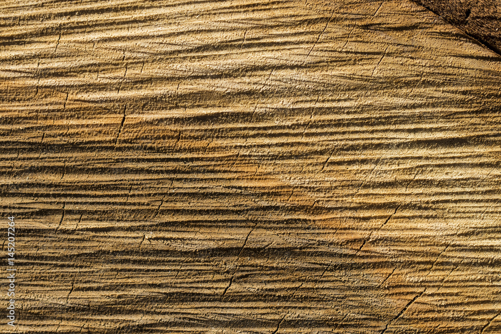 the texture of wood logs.Stylish Wooden background the texture of wood logs.Stylish Wooden background