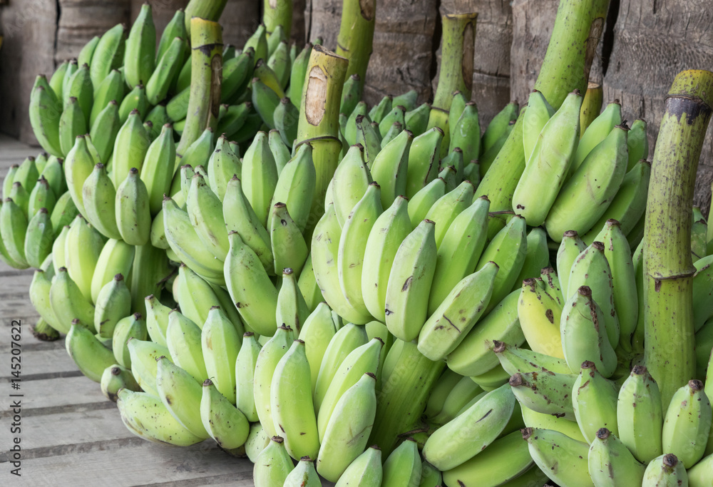 bananas harvesting to market in close up bananas harvesting to market in close up