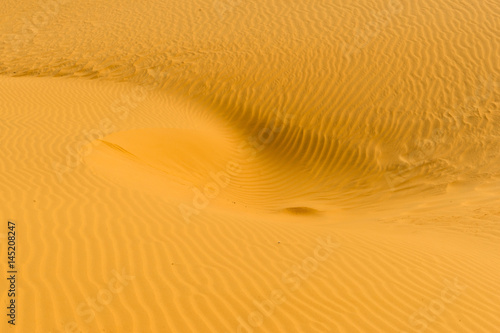 desert dune texture