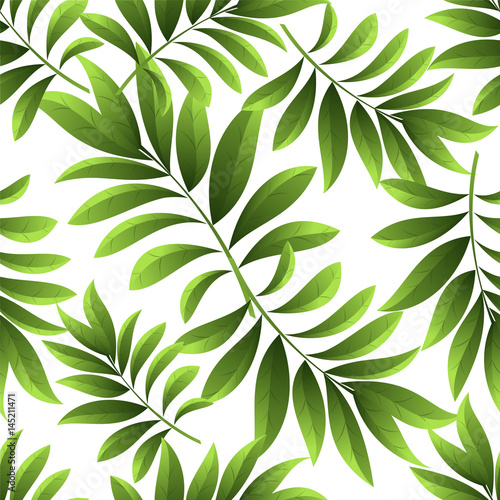 Pattern of palm leaves
