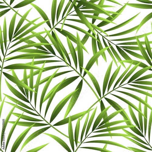 Pattern of palm leaves