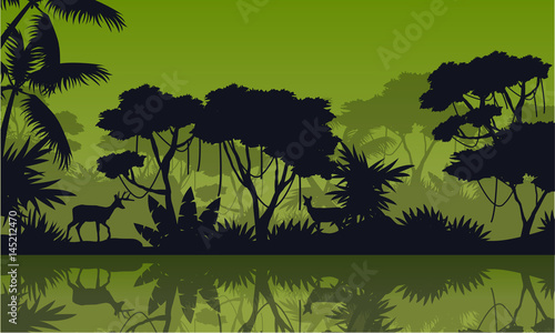 Silhouette rain forest with lake scenery